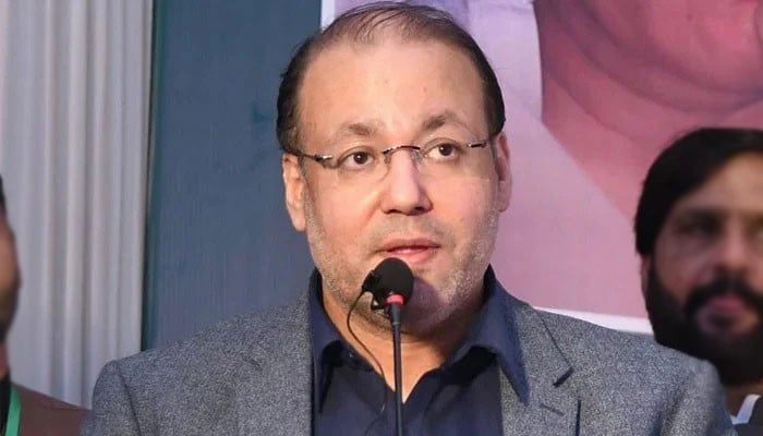 پاکستان-اور-افریقی-ممالک-کے-درمیان-تجارتی-حجم-بڑھنا-چاہیے:-شافع-حسین