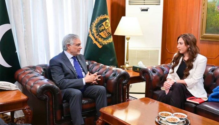 اسحاق-ڈار-سے-امریکی-ناظم-الامور-کی-ملاقات،-موجودہ-علاقائی-صورتحال-پر-گفتگو