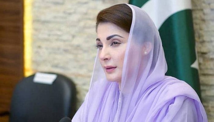پوری-قوم-نے-ایک-سیسہ-پلائی-دیوار-کی-طرح-ملکی-سلامتی-میں-حصہ-ڈالا،-وزیراعلیٰ-پنجاب