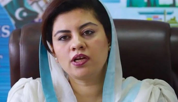 کنول-شوزب-کی-بیرونِ-ملک-جانے-کی-درخواست-خارج