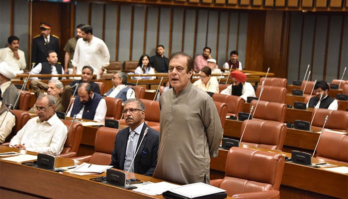 ہماری-ایئر-فورس-نے-ثابت-کیا-مہنگا-جہاز-لینے-سے-دفاعی-صلاحیت-بہتر-نہیں-ہوتی،-شبلی-فراز