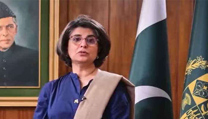 سیکریٹری-خارجہ-آمنہ-بلوچ-نے-بھارت-کے-’’نیو-نارمل‘‘-جیسے-بیانات-کو-بے-بنیاد-قرار-دے-دیا