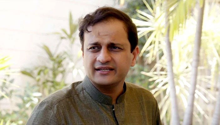 آلائشیں-اٹھانے-کیلئے-25-ٹاؤنز-اور-7-اضلاع-میں-2-کلکشن-پوائنٹس-بنائے-ہیں:-میئر-کراچی