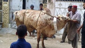 عیدالاضحیٰ-کے-دوسرے-دن-بھی-جانوروں-کی-قربانی-جاری