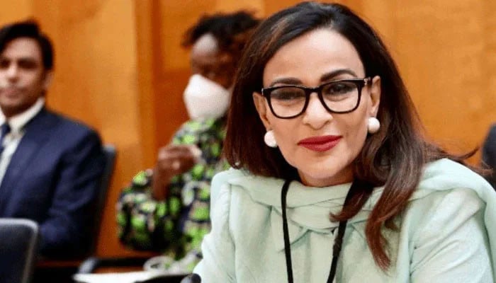 بھارتی-وفد-کا-ایجنڈا-کسی-کو-سمجھ-نہیں-آیا،-شیری-رحمان