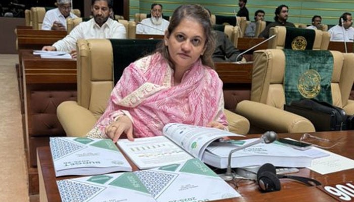 کنٹونمنٹ،-ریلویز،-کے-پی-ٹی-ادارے-میئر-کراچی-کے-کنٹرول-میں-ہونے-چاہئیں:-سعدیہ-جاوید