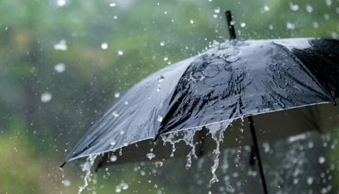 آج-شام-سے-پنجاب-میں-پری-مون-سون-کا-آغاز-ہوگا:-پی-ڈی-ایم-اے