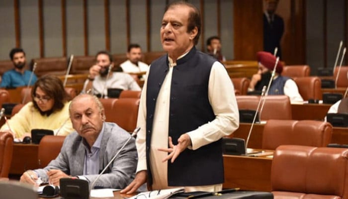 وزراء-کی-عدم-موجودگی،-پی-ٹی-آئی-کا-سینیٹ-سے-واک-آؤٹ