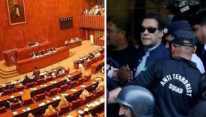 ڈپٹی-چیئرمین-سینیٹ-کی-سخت-وارننگ:-پارٹی-ارکان-نے-بانیٔ-پی-ٹی-آئی-کی-تصاویر-ایوان-سے-ہٹالیں