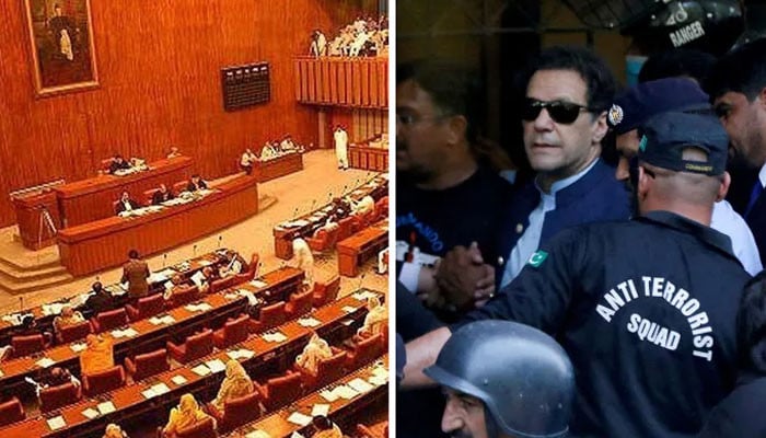 ڈپٹی-چیئرمین-سینیٹ-کی-سخت-وارننگ:-پارٹی-ارکان-نے-بانیٔ-پی-ٹی-آئی-کی-تصاویر-ایوان-سے-ہٹالیں