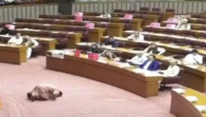 قومی-اسمبلی:-جمشید-دستی-کی-ناک-سے-لکیریں-نکالنے-کی-ویڈیو-سامنے-آگئی