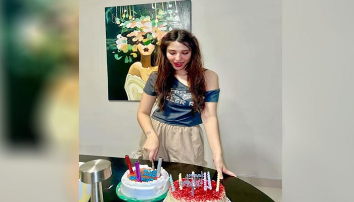 رمشا-خان-نے-پینٹنگ-سے-متاثر-ہوکر-بولڈ-ڈریسنگ-کرلی؟