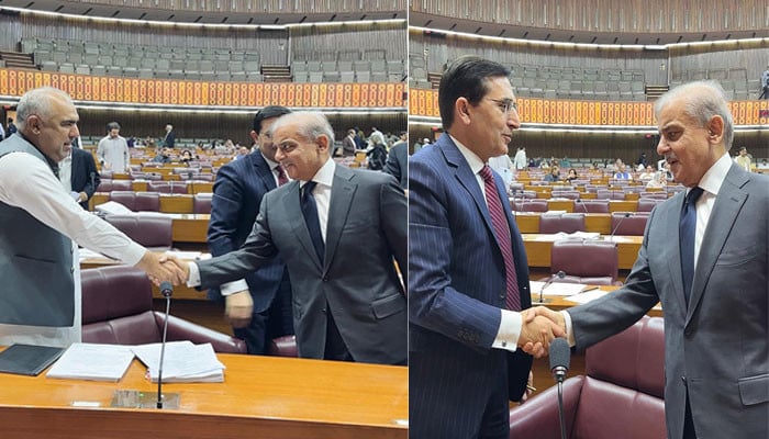 قومی-اسمبلی:-وزیرِاعظم-نے-پی-ٹی-آئی-رہنماؤں-سے-ان-کی-نشست-پر-جا-کر-مصافحہ-کیا