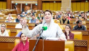 دسمبر-تک-1-لاکھ-نئے-گھر-بنا-لیں-گے:-مریم-نواز