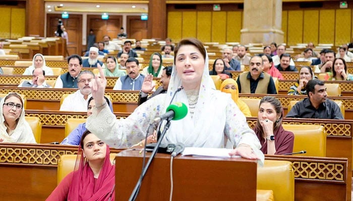 دسمبر-تک-1-لاکھ-نئے-گھر-بنا-لیں-گے:-مریم-نواز