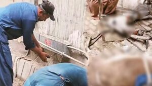 کراچی،-منگھو-پیر-میں-کرنٹ-لگنے-سے-دو-گدھے-مرگئے