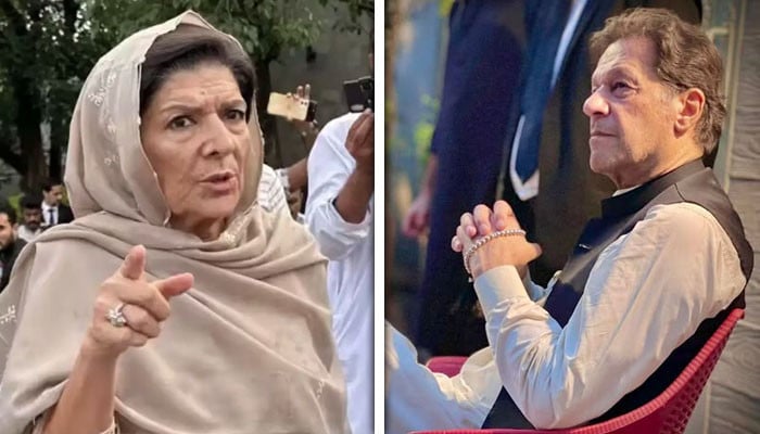 بانی-پی-ٹی-آئی-کی-ہدایات-ہیں-10-محرم-کے-بعد-پارٹی-تحریک-کا-آغاز-کرے،-علیمہ-خان