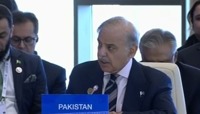 بھارت-کا-پاکستان-پر-حملہ-خطے-کو-غیرمستحکم-کرنے-کی-کوشش-تھی،-وزیراعظم-کا-ای-سی-او-اجلاس-سے-خطاب