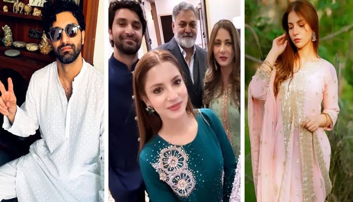 دنانیر-اور-احد-رضا-میر-کو-لے-کر-مداحوں-کے-تبصرے،-پاری-گرل-کو-شادی-نہ-کرنے-کا-مشورہ