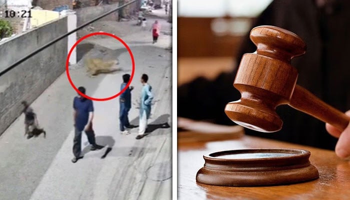 لاہور:-بچوں-پر-حملہ-کرنے-والے-شیر-کو-سفاری-پارک-منتقل-کرنے-کا-حکم