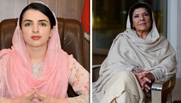 مشال-یوسفزئی-نے-علیمہ-خان-کے-بیٹے-پر-طنزیہ-سوالات-اٹھا-دیے