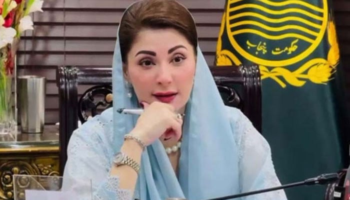 گندم-کے-کاشتکاروں-کو-تنہا-نہیں-چھوڑیں-گے:-مریم-نواز