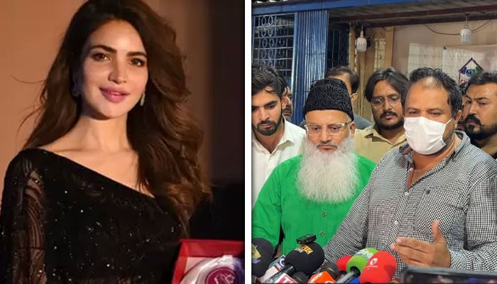 حمیرا-اصغر-کی-اچانک-موت،-بھائی-نوید-اصغر-نے-اہم-سوال-اُٹھا-دیے