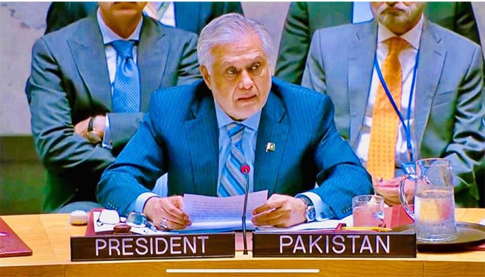 پاکستان-مسئلہ-فلسطین-کیلئے-اصولی-موقف-اور-یکجہتی-کے-عزم-کا-اعادہ-کرتا-ہے،-اسحاق-ڈار