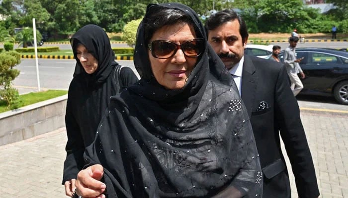 ان-کو-پتہ-ہو-گا-کہ-سلمان-صفدر-ملک-سے-باہر-ہیں-تو-24-گھنٹے-کے-اندر-کیس-لگا-دیا:-علیمہ-خان