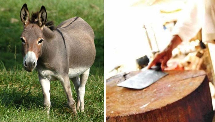 بٹگرام:-گدھے-کا-گوشت-فروخت-کرنیوالے-2-افراد-گرفتار