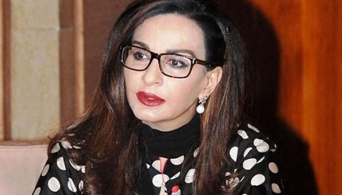 فرانس-اور-برطانیہ-کا-فلسطین-کو-تسلیم-کرنے-کا-فیصلہ-خوش-آئند-ہے:-شیری-رحمٰن