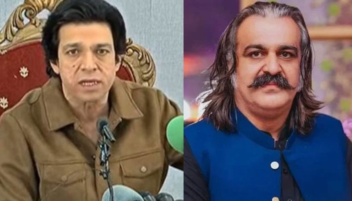 علی-امین-گنڈاپور-سمیت-نظریاتی-لوگ-بانی-کی-پیٹھ-میں-چھرا-گھونپ-رہے-ہیں:-فیصل-واؤڈا