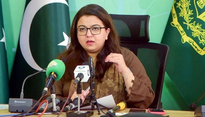 کابینہ-نے-قومی-مصنوعی-ذہانت-پالیسی-کی-منظوری-دیدی:-شزا-فاطمہ